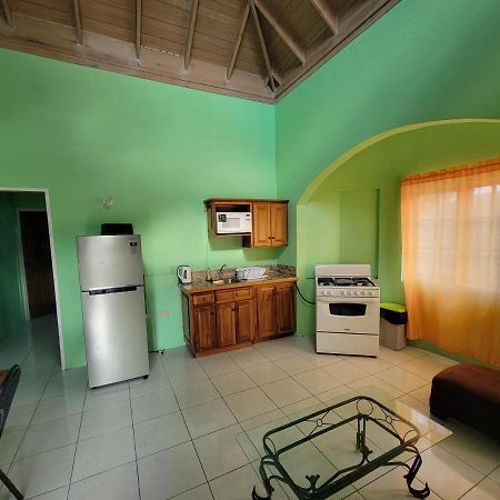 Wizzy Apartment Ocho Rios Zewnętrze zdjęcie