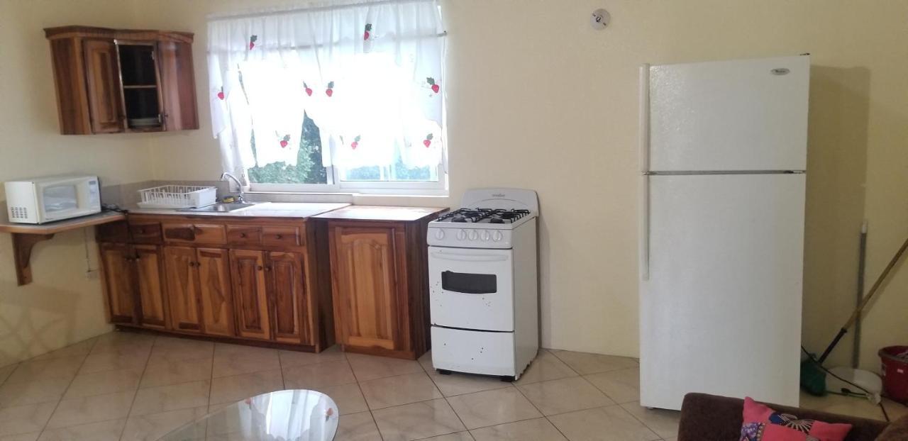 Wizzy Apartment Ocho Rios Zewnętrze zdjęcie