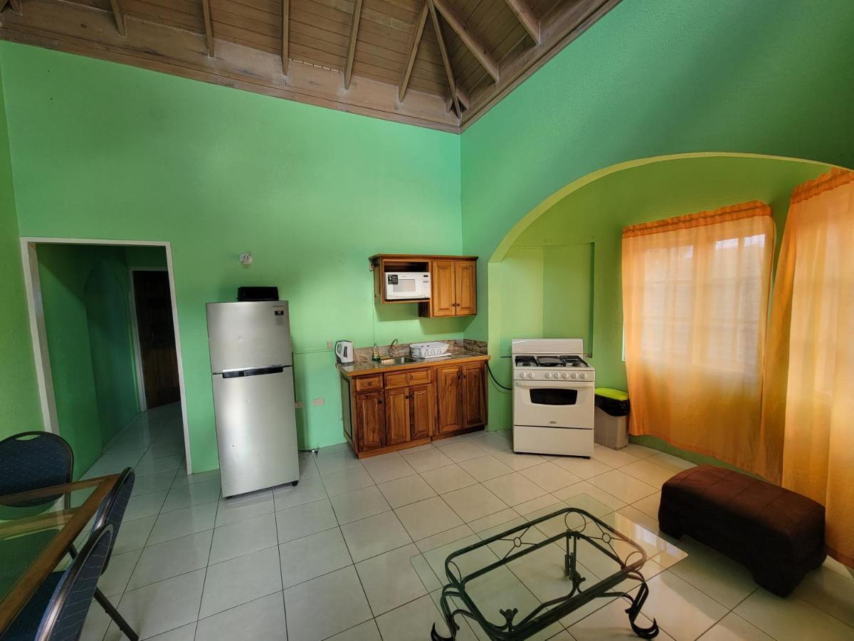 Wizzy Apartment Ocho Rios Zewnętrze zdjęcie