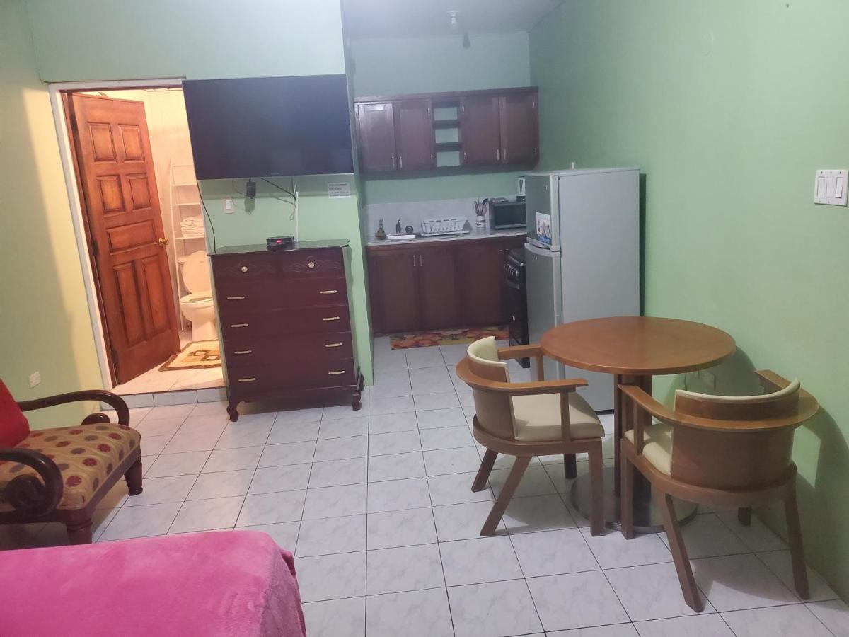 Wizzy Apartment Ocho Rios Zewnętrze zdjęcie